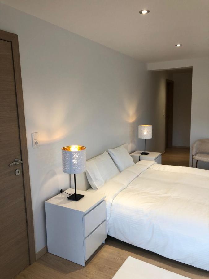 Pegasus I - 2 De Luxe, Cuisine, Salon, 2 Terrasses Et Sauna Vielsalm