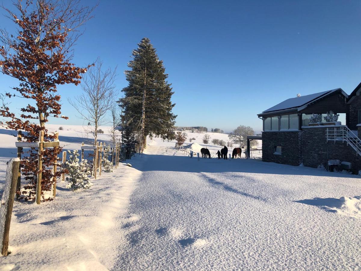Apartment Pegasus I - 2 De Luxe, Cuisine, Salon, 2 Terrasses Et Sauna Vielsalm